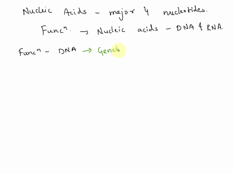nucleic-acids-are-one-of-the-four-major-macromolecules-the-main-function-of-nucleic-acids-is-to-88537