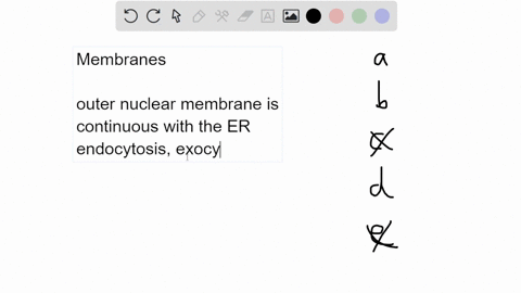 which-of-the-following-has-membranes-that-never-interact-with-other-membranes-in-the-cell-a-mitochondria-b-lysosomes-c-endoplasmic-reticulum-d-cytoplasmic-membrane-e-nuclear-membrane-62608