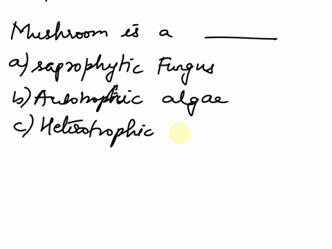 mushroom-is-a-saprophytic-fungus-b-autotrophic-algae-c-heterotrophic-fungus-d-none-of-the-above-04062