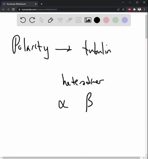 1a-why-microtubules-are-called-polar-filaments-what-is-the-basis-for-this-polarity-how-is-polarity-related-to-microtubule-organization-within-the-cell-and-how-is-polarity-related-to-the-intr-14406