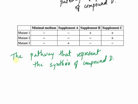 suppose-researcher-investigates-the-pathway-of-synthesis-of-compound-d-this-compound-is-necessary-for-growth-and-survival-in-many-fungi-including-neurospora-species-he-produces-three-mutants-39354