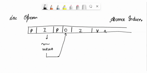 5-rett-syndrome-is-an-x-linked-dominant-trait-a-what-are-all-the-possible-genotypes-for-a-female-with-rett-syndrome-b-what-are-all-the-possible-genotypes-for-a-male-with-rett-syndrome-c-what-55024