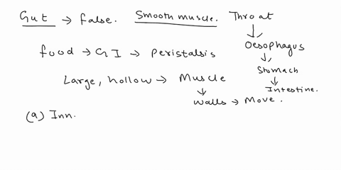 which-of-the-following-statements-about-movement-of-food-through-the-gut-is-false-select-one-the-inner-circular-muscle-and-outer-longitudinal-muscle-layers-in-the-gastrointestinal-tract-prop-01599