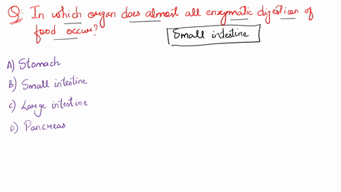 in-which-organ-does-almost-all-enzymatic-digestion-of-food-occur-a-stomach-b-small-intestine-c-large-87852