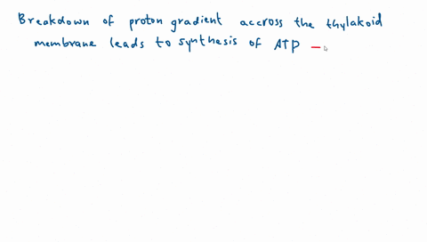 consider-the-two-statements-assertiona-breakdown-of-proton-gradient-across-the-thylakoid-membrane-leads-to-the-synthesis-of-atp-reasonr-the-gradient-is-broken-down-due-to-the-movement-of-protons-acros