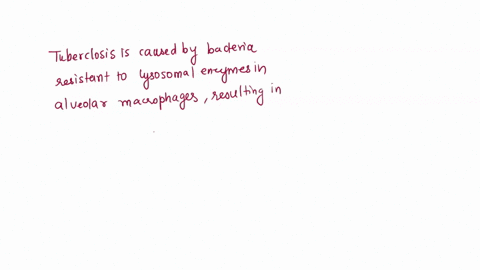 describe-tuberculosis-and-the-innocent-bystander-effect-79072