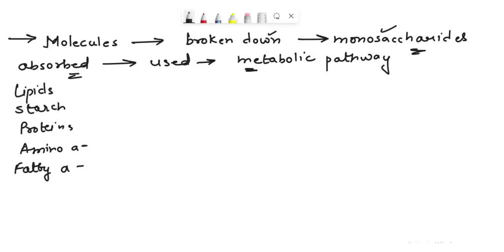 SOLVED The absorption of which of the following causes the formation