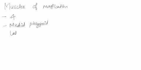 1-which-muscle-elevates-and-retracts-the-mandible-during-mastication-multiple-choice-masseter-lateral-pterygoid-temporalis-buccinator-2-which-of-the-following-is-a-function-of-the-digastric-34727