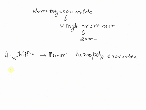 question-11-which-polysaccharide-is-not-a-homopolysaccharide-0a-chitin-b-glycogeni-cll-glycosaminoglycan-d-amylose-e-dextran-05404