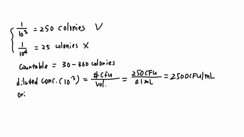 a-the-standard-plate-count-method-is-performed-with-dilutions-of-the-original-sample-0-1-ml-of-dilution-was-plated-on-each-petri-dish-and-pour-plates-were-made-the-1103-dilution-had-250-colo-55642