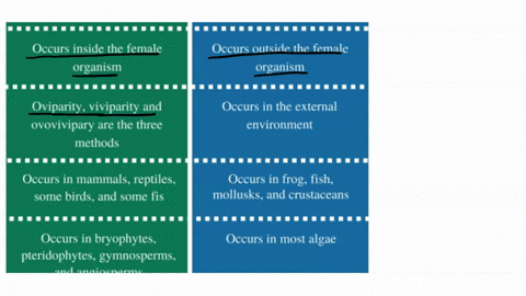 what-is-the-difference-between-external-fertilization-and-internal-fertilization-in-animals-and-the-advantage-and-disadvantage-of-each-61264