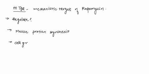 2points-question38-the-mechanistic-target-of-rapamyosin-mtoris-responsible-for-regulating-which-of-the-following-responses-muscle-fiber-hyperplasia-muscle-enzyme-degradation-mitochondrial-ad-42915