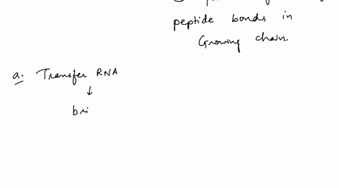 1-identfy-the-type-of-rna-that-acts-as-an-enzyme-during-translation-a-transfer-rna-b-messenger-rna-c-small-nuclear-d-ribosomal-rna-2-what-is-complementary-sequence-in-the-mrna-if-the-dna-seq-73854