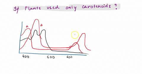interpreting-data-in-the-following-graph-called-an-absorption-spectrum-each-line-is-made-by-shining-light-of-varying-wavelengths-through-sample-for-each-wavelength-the-amount-of-that-light-a-72219