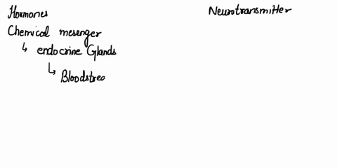 what-is-the-main-difference-between-gray-and-white-matter-in-the-spinal-cord-21815