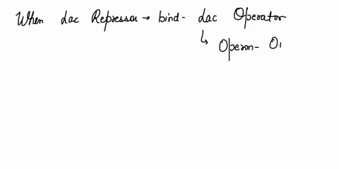 when-lac-repressor-binds-the-lac-operator-the-operon-is-off-how-does-such-binding-turn-off-transcription-the-lac-repressor-protein-is-a-dna-binding-protein-that-only-binds-to-its-operator-in-81981