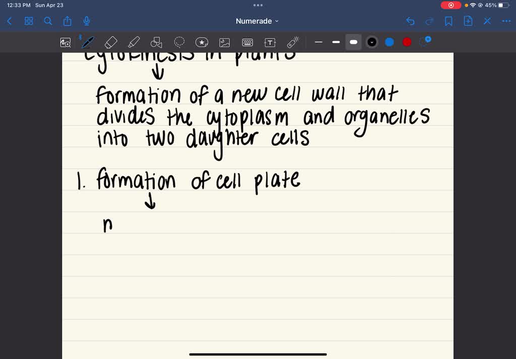 SOLVED process of cytokinesis in plants Biology Diagrams