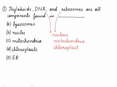 13-thylakoids-dna-and-ribosomes-are-all-components-found-in-lysosomes-b-nuclei-mitochondria-d-chloroplasts-endoplasmic-reticulum-14-the-liver-is-involved-in-detoxification-of-many-poisons-an-93007