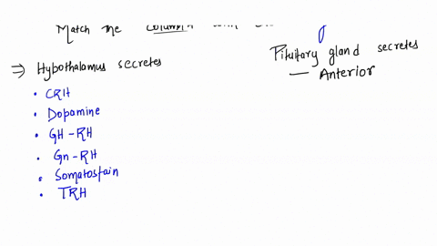 match-the-hormones-column-a-with-the-endocrine-glands-column-b-that-produce-them-__12-trh-__13-triiodothyronine-t3-__14-glucagon-__15-adh-__16-adrenal-sex-hormone-__17-msh-__18-melatonin-__1-63084