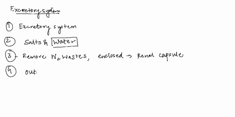 3fill-in-the-blanks-below-with-the-correct-answers-kidneys-are-thefiltersof-the-systemthey-control-essential-balance-between-body-salts-and-they-remove-from-the-blood-nitrogenous-wasteswater-39523