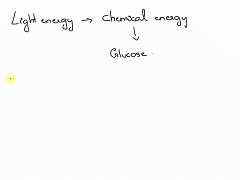 oxygen-is-produced-during-photosynthesis-and-given-out-by-the-plant-through-the-09649