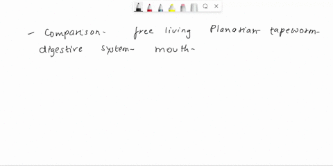 next-compare-the-tapeworm-to-its-free-living-relative-the-planarian-provide-any-visible-structure-they-have-lost-in-their-digestive-and-nervous-systems_-also-provide-any-visible-structure-th-47504
