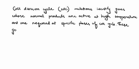 cell-division-cycle-cdc-mutations-identify-genes-the-normal-products-of-which-are-active-at-high-temperatures-required-at-a-particular-phase-of-the-cell-cycle_-required-for-dna-synthesis-exp-71805