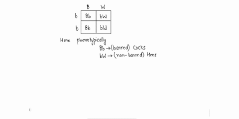 in-chickens-a-dominant-sex-linked-gene-b-producesbarred-feathers-and-the-recessive-allele-b-whenhomozygous-produces-nonbarred-solid-color-feathers-suppose-anonbarred-cock-is-crossed-with-a-b-53323
