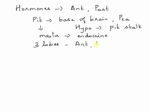 classify-each-hormone-based-on-whether-it-is-secreted-by-the-anterior-pituitary-or-the-posterior-pituitary-anterior-pituitary-posterior-pituitary-answer-bank-adrenocorticotropic-hormone-anti-84878