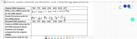 use-your-knowledge-of-transcription-translation-and-the-genetic-code-below-to-answer-the-following-questions-original-dna-sequence-tac-ttc-aaa-ccg-acg-gcg-att-what-is-the-mrna-transcript-for-65953