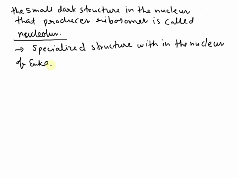 what-is-the-small-dark-structure-in-the-nucleus-that-produces-ribosomes-54138
