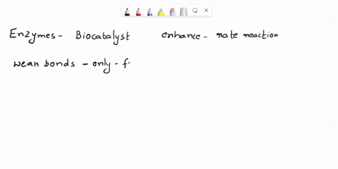 which-are-true-about-enzymes-choose-more-than-one-a-weak-bonds-can-only-form-with-enzymes-b-they-perform-the-same-functions-regardless-of-environment-c-they-always-make-covalent-bonds-d-they-84291
