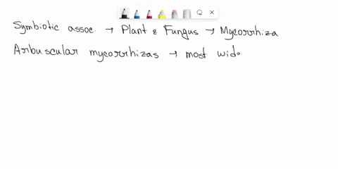 plants-have-symbiotic-relationship-with-mycorrhizal-fungi-select-the-answers-ahal-1ccuratcly-characterizes-this-relationship-800-of-plants-have-symbiosis-with-mycorrhizal-fungus-the-ungi-ext-40473