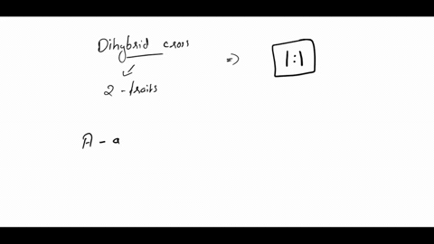 which-of-the-following-dihybrid-crosses-will-produce-offspring-in-a-11-ratio-aabb-x-aabb-aabb-x-aabb-aabb-x-aabb-aabb-aa88-aabb-aabb-76262