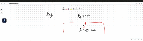 question3-1pts-what-would-you-expect-in-a-cell-in-which-the-pyruvate-transporter-was-inhibited-by-a-drug-oan-increase-in-atp-produced-a-decrease-in-atp-produced-oa-build-up-of-nadph-an-incre-21716