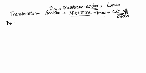 describe-how-a-membrane-protein-stays-anchored-to-the-membrane-when-a-membrane-protein-is-being-created-which-side-faces-the-lumen-of-the-er-17078