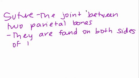 question-79-1-point-the-joint-between-the-two-parietal-bones-is-an-example-of-a-syndesmosis-b-symphysis-gomphosis-synchondrosis-suture-02843