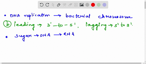 dna-replication-of-bacterial-chromosome-occurs-in-both-directions-away-from-the-replication-origin-consider-the-orientation-5-prime-to-3-prime-3-prime-to-5-prime-of-both-dna-strands-which-is-99007