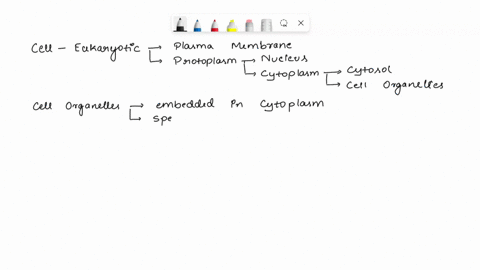 this-organelle-is-the-post-office-of-the-cell-because-sorting-tagging-packaging-and-distribution-of-lipids-and-proteins-take-place-here-chloroplast-ribosomes-rough-endoplasmic-reticulum-smoo-93204