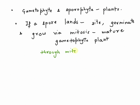 write-if-the-following-occur-through-either-mitosis-or-through-meiosis-a-spore-growing-into-a-mature-gametophyte-_____________________-a-gametophyte-producing-gametes-_____________________-a-77035