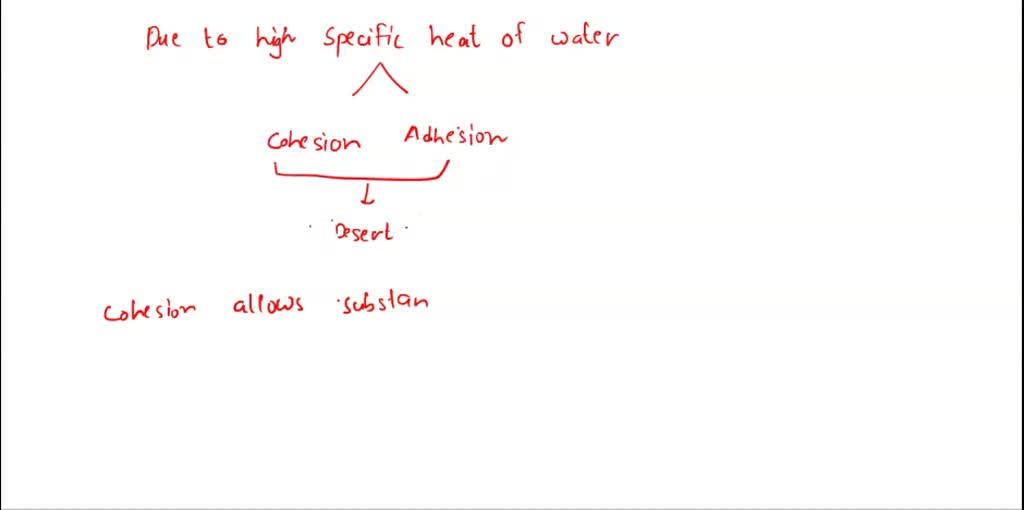 SOLVED: List and explain the three characteristics of water that would ...