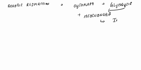 compare-aerobic-respiration-anaerobic-respiration-and-fermentation-how-are-the-processes-similar-how-are-they-different-how-do-these-processes-determine-which-environment-the-organism-can-li-63368