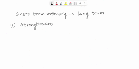 short-term-memory-is-transferred-to-long-term-memory-via-a-process-called-04063