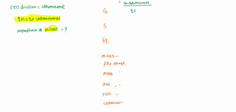 if-a-diploid-cell-contains-20-chromosomes-how-many-dna-molecules-will-be-present-during-metaphase-of-mitosis-87068