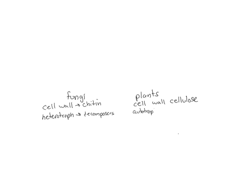 briefly-explain-why-plants-and-fungi-are-not-classified-in-the-same-categories
