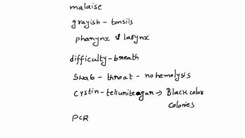 a-5-year-old-female-presents-with-a-sore-throat-low-grade-fever-malaise-and-a-grayish-exudate-on-the-tonsils-pharynx-and-larynx-this-exudate-is-so-extensive-it-has-started-to-obstruct-the-ch-21725