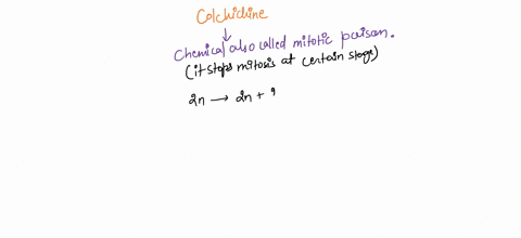 a-drug-colchicine-can-be-added-to-cells-in-culture-and-it-stops-the-polymerization-of-microtubules-what-effect-would-this-have-on-mitosis-it-would-slow-or-block-mitosis-by-interfering-with-t-71461