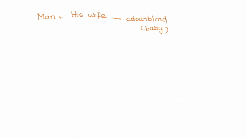 a-man-and-his-wife-are-having-trouble-having-baby-using-modern-technologies-the-womans-eggs-are-removed-fertilized-with-her-husbands-sperm-and-implanted-into-her-uterus-the-procedure-is-succ-53696