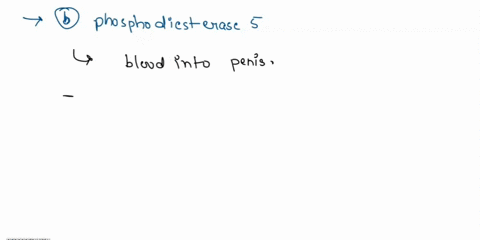 question-11-what-enzyme-does-viagra-block-that-allows-prolonged-vasodilaiton-a-phospholipase-b-phosphodiesterase-adenylyl-cyclase-diacylglycerol-48068