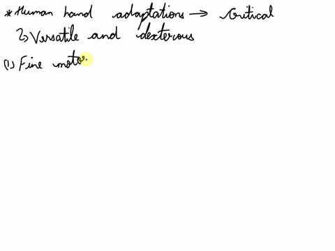 how-have-human-hand-adaptions-helped-to-make-humans-a-successful-and-powerful-species-74417